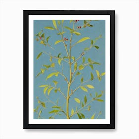 Beech tree Vintage 2 Botanical Art Print