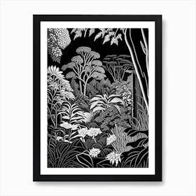 Smith College Botanic Garden, Usa Linocut Black And White Vintage Art Print