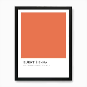 Burnt Sienna Color Block Collection Wall Poster