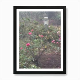 Floral Garden in Kodaikanal, India. Photograph Art Print