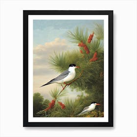 Common Tern Haeckel Style Vintage Illustration Bird Art Print