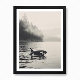 Misty Forest And Orca Whale Peeping Out Of Ocean Art Print