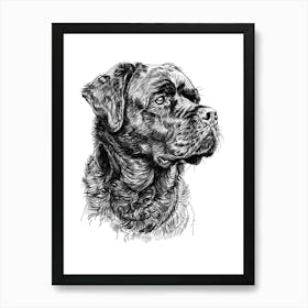 Rottweiler Dog Line Sketch1 Art Print