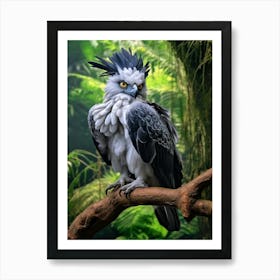 Raptor Reverie: Harpy Eagle Print Art Print