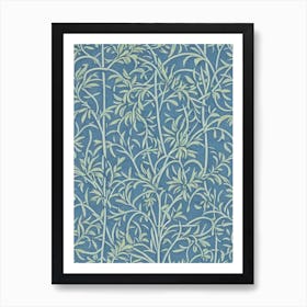Blue Spruce tree Vintage Botanical Art Print