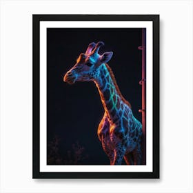 Giraffe At Night 3 Art Print