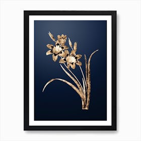 Gold Botanical Ixia Tricolore on Midnight Navy Art Print