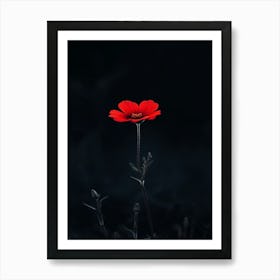 Single Red Flower 4 Art Print