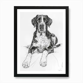 Greater Swiss Mountain Dog Line Sketch 1 Art Print