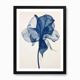 Blue Botanical Calla Lily 2 Poster