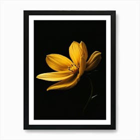 Yellow Flower On Black Background 5 Art Print