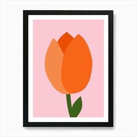 Tulip Pastel Pink And Orange Poster