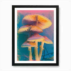 Mushrooms Retro Photo Inspired 3 Art Print