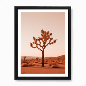  Photograph Of A Joshua Tree At Dawn In Desert 1 Art Print