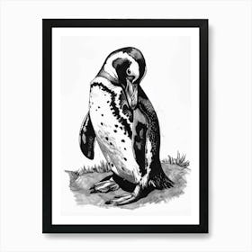 African Penguin Preening Their Feathers 4 Art Print