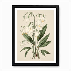 Yukiyanagi Snowdrop 2 Vintage Japanese Botanical Art Print