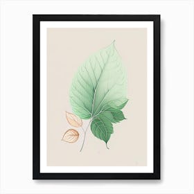 Mint Leaf Contemporary Art Print