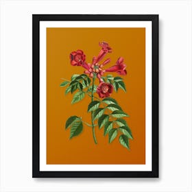 Vintage Trumpet Vine Botanical on Sunset Orange Art Print