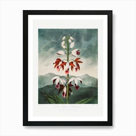 Vintage Botanical Temple Of Flora _2476832 Art Print