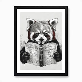 Red Panda Reading Ink Illustration 4 Art Print