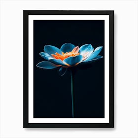 Lotus Flower 24 Art Print