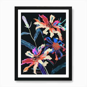 Neon Flowers On Black Cineraria 5 Art Print