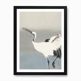 Two Cranes (1900 1930), Ohara Koson Art Print