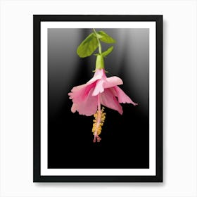 colord Hibiscus Flower Art Print