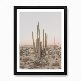 Huge Desert Cactus Art Print