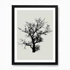 Bare Tree 2 Art Print