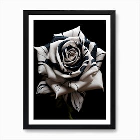 Black And White Rose 4 Art Print