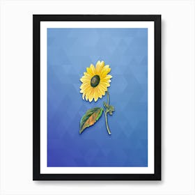 Vintage California Sunflower Botanical Art on Blue Perennial Art Print
