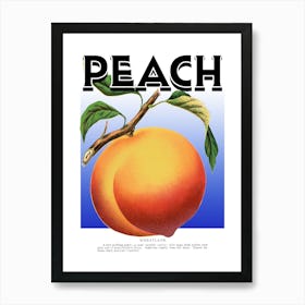 Peach Graphic Wall Art Vintage Unique Eclectic Art Print