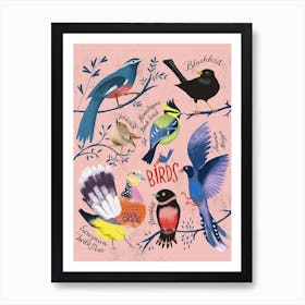 Chart Of Birds Art Print