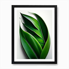 Aloe Vera Leaf Vibrant Inspired Art Print