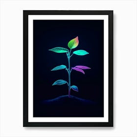 Plant Growing In The Dark 4 Art Print