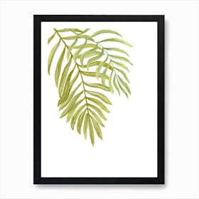 Watercolor Tropical Leaf On White Art Print