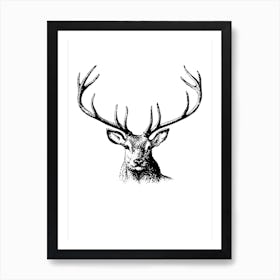 Deer Black White Art Print