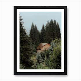 The Cabin In The Forest Art Print