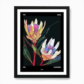 No Rain No Flowers Poster Protea 3 Art Print