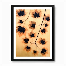 Sycamore leaves Art Print