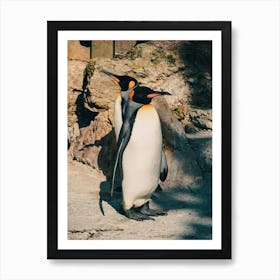 Penguins At The Zoo 1 Art Print