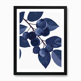 Blueberries Close Up Illustration 2 Art Print