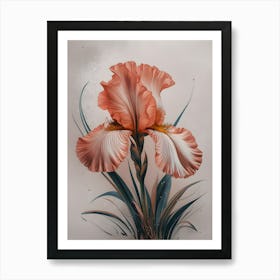 IRIS Art Print