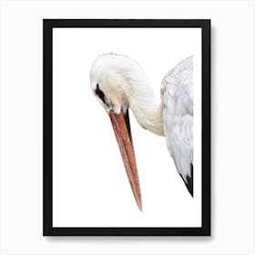 Funny White Bird Art Print