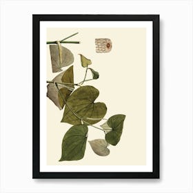 Hibiscus 70 Art Print