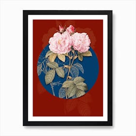 Vintage Botanical Italian Damask Rose on Circle Blue on Red n.0217 Art Print