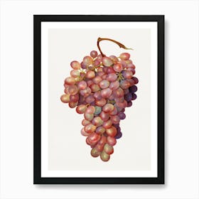 Bunch Of Grapes Art Print