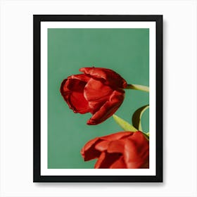 Red Tulips Art Print