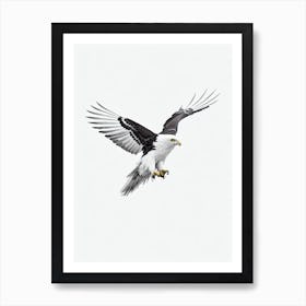 Eagle B&W Pencil Drawing 3 Bird Art Print